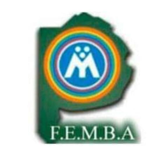 FEMBA Logo